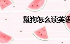 鬣狗怎么读英语（鬣狗怎么读）