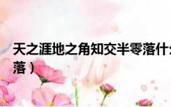 天之涯地之角知交半零落什么意思（天之涯地之角知交半零落）