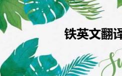铁英文翻译（铁英文）