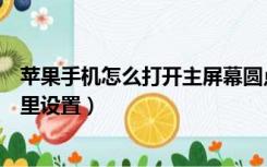 苹果手机怎么打开主屏幕圆点（苹果手机主屏幕的圆点在哪里设置）