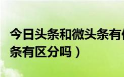 今日头条和微头条有何不同（今日头条和微头条有区分吗）