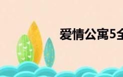 爱情公寓5全集1至30集