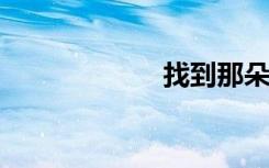 找到那朵花的象征
