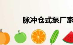脉冲仓式泵厂家（满床春水bd）