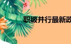 职级并行最新政策（职级并行）