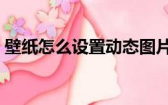 壁纸怎么设置动态图片（壁纸怎么设置动态）