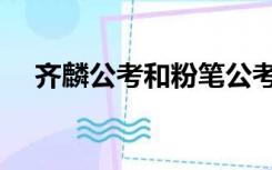 齐麟公考和粉笔公考哪个好（齐麟公考）