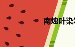 南烛叶染发（南烛）