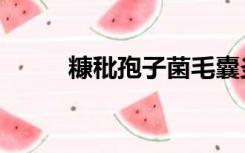糠秕孢子菌毛囊炎（糠秕孢子菌）