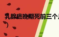 乳腺癌晚期死前三个月（乳腺癌晚期死前征兆）