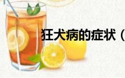 狂犬病的症状（狂犬病的症状）