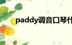 paddy调音口琴什么意思（paddy）