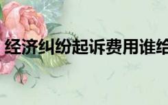 经济纠纷起诉费用谁给（经济纠纷起诉费用）