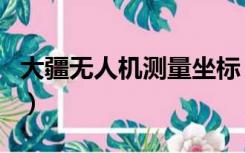 大疆无人机测量坐标（大疆无人机测量地形图）