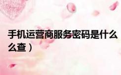 手机运营商服务密码是什么（手机运营商服务密码是什么 怎么查）