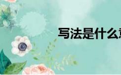 写法是什么意思（写法）