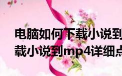电脑如何下载小说到MP4（怎样在电脑上下载小说到mp4详细点）