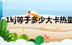 1kj等于多少大卡热量（1kj等于多少大卡）