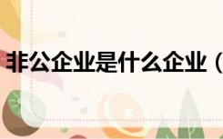 非公企业是什么企业（非公企业是什么意思）