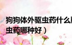 狗狗体外驱虫药什么牌子效果好（狗狗体外驱虫药哪种好）