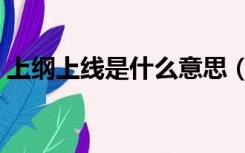 上纲上线是什么意思（上纲上线是什么意思）