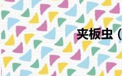 夹板虫（夹板虫）