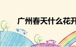 广州春天什么花开（春天什么花开）