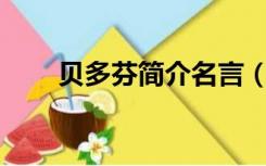 贝多芬简介名言（贝多芬简介50字）