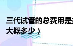 三代试管的总费用是多少（三代试管婴儿费用大概多少）