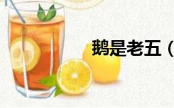 鹅是老五（鹅是老五）