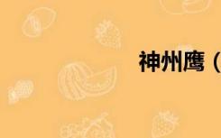 神州鹰（神州鹰）