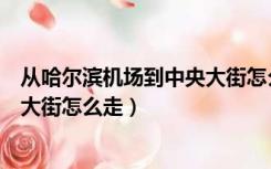 从哈尔滨机场到中央大街怎么走地铁（从哈尔滨机场到中央大街怎么走）