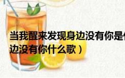当我醒来发现身边没有你是什么歌（有天我睡醒看到我的身边没有你什么歌）