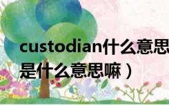custodian什么意思中文翻译（Custodian 是什么意思嘛）