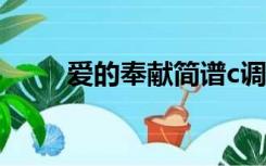 爱的奉献简谱c调（爱的奉献简谱）