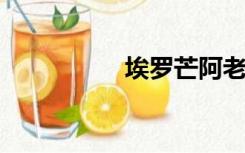 埃罗芒阿老师本子无套