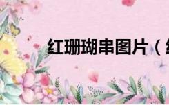 红珊瑚串图片（红珊瑚手串价格）