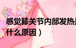 感觉膝关节内部发热是什么原因（膝盖发热是什么原因）