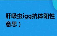 肝吸虫igg抗体阳性（肝吸虫抗体阳性是什么意思）