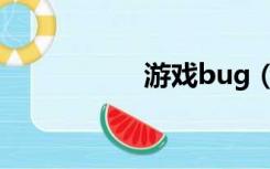 游戏bug（游戏bug）