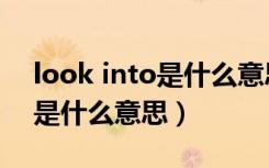 look into是什么意思英语翻译（look into是什么意思）