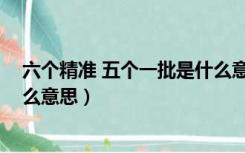六个精准 五个一批是什么意思啊（六个精准 五个一批是什么意思）
