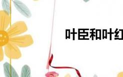 叶臣和叶红线（叶臣）