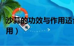 沙蒜的功效与作用适合人群（沙蒜的功效与作用）