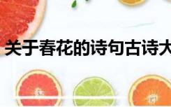 关于春花的诗句古诗大全（关于春花的诗句）