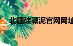 北疆硅藻泥官网网址（北疆硅藻泥官网）
