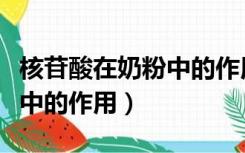 核苷酸在奶粉中的作用是什么（核苷酸在奶粉中的作用）