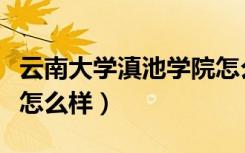 云南大学滇池学院怎么去（云南大学滇池学院怎么样）
