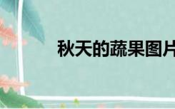 秋天的蔬果图片（秋天的蔬果）