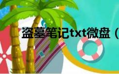 盗墓笔记txt微盘（盗墓笔记txt微盘）